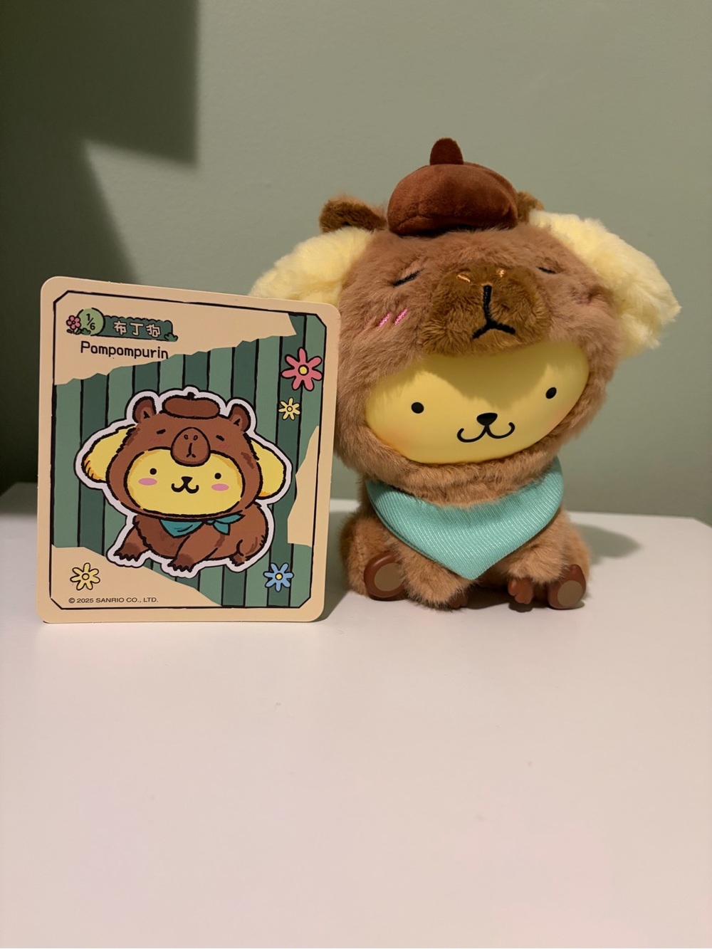 Sanrio Pompompurin Plush cool cabypara collection